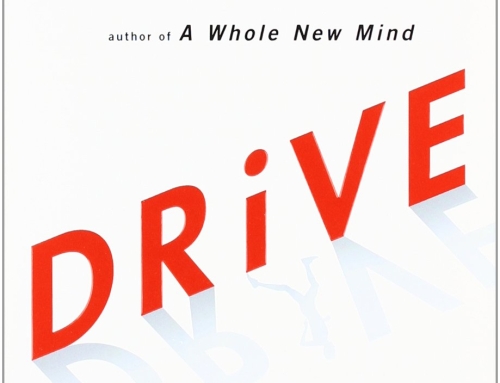 Drive: The Surprising Truth About What Motivates Us